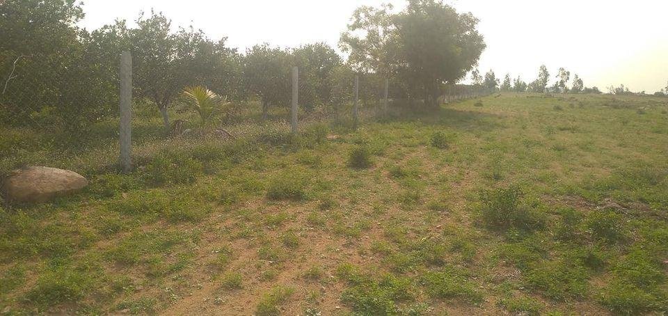 WhatsApp-Image-2023-06-03-at-12.58.24-PM