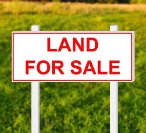 WhatsApp-Image-2023-06-09-at-11.33.24-AM