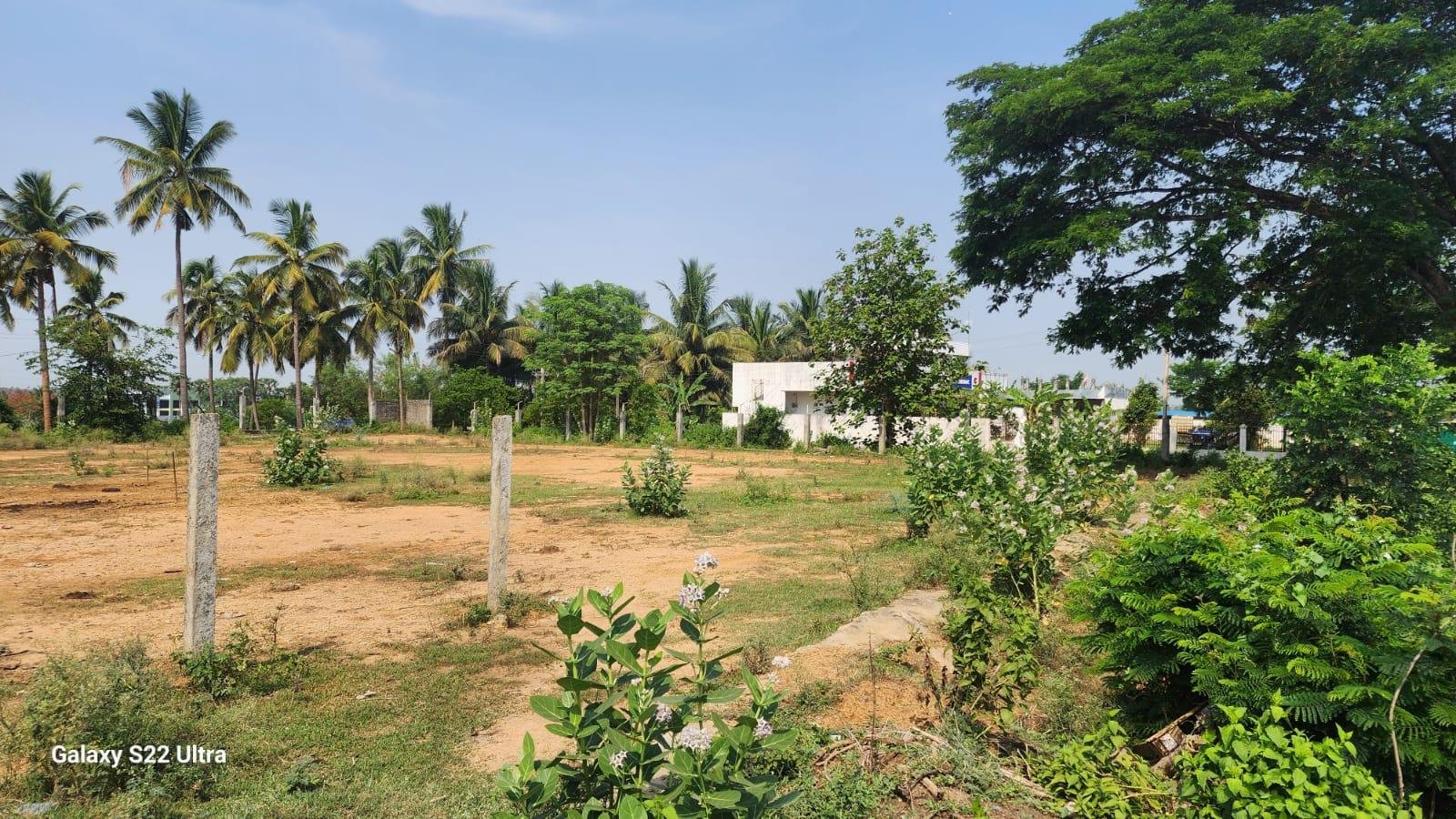 WhatsApp-Image-2023-06-09-at-12.17.20-PM