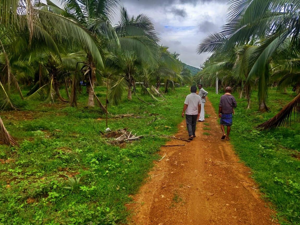 WhatsApp-Image-2023-06-09-at-12.32.46-PM-1