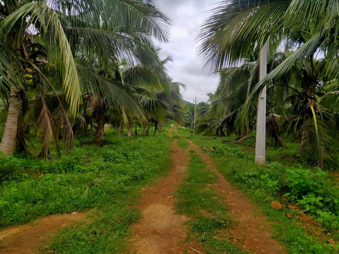 WhatsApp-Image-2023-06-09-at-12.32.46-PM