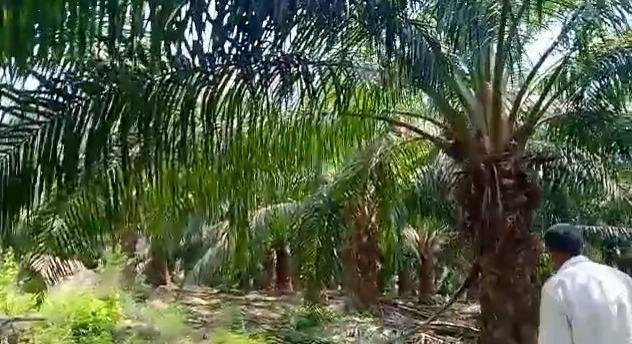 WhatsApp-Image-2023-06-09-at-2.21.03-PM