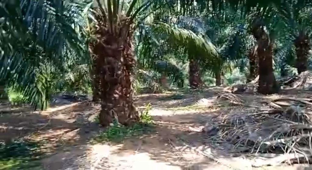 WhatsApp-Image-2023-06-09-at-2.22.37-PM