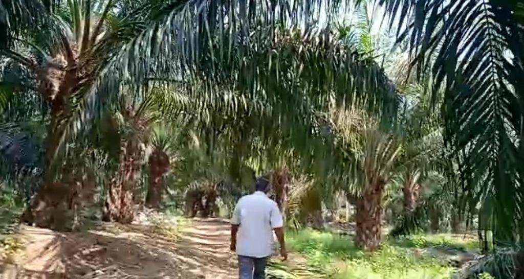 WhatsApp-Image-2023-06-09-at-2.24.01-PM