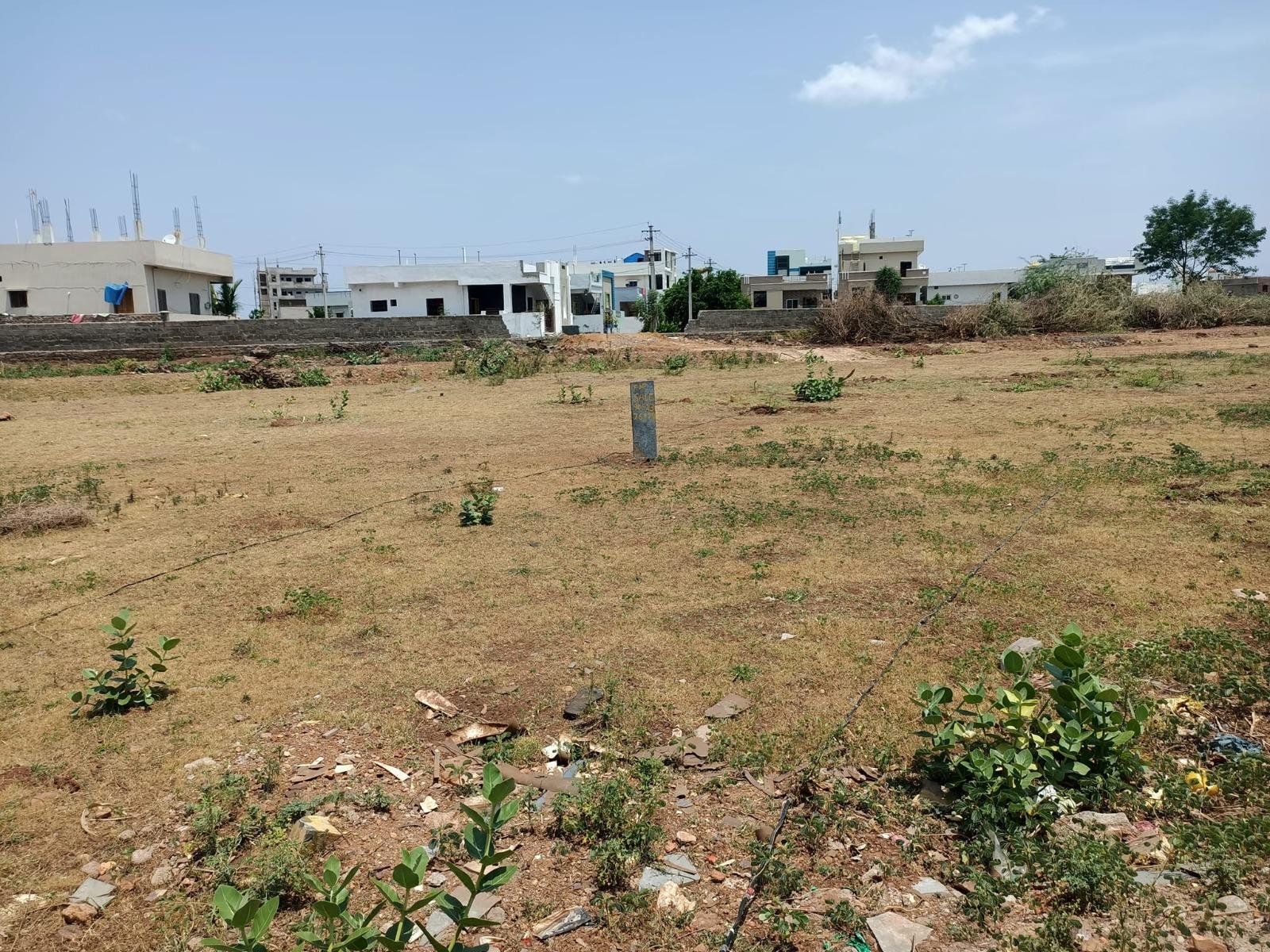 WhatsApp-Image-2023-06-09-at-3.46.00-PM