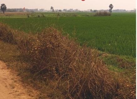 WhatsApp-Image-2023-06-10-at-11.38.12-AM