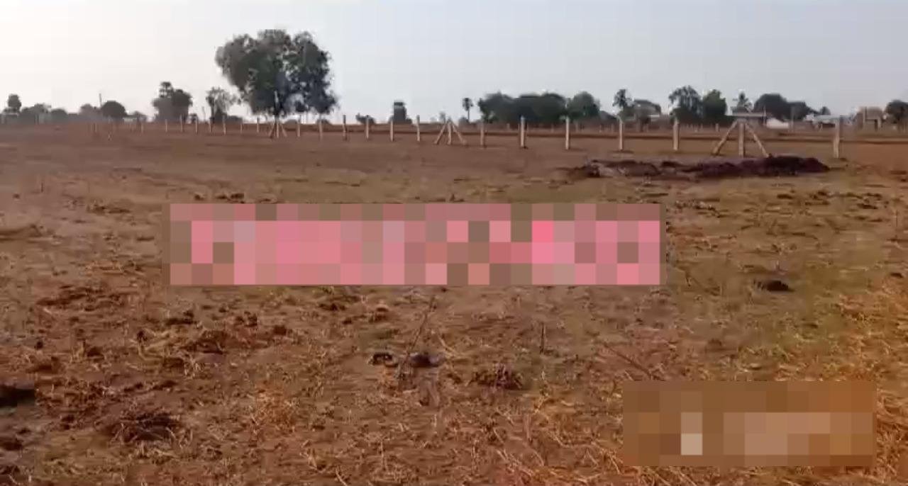 WhatsApp-Image-2023-06-10-at-12.14.14-PM