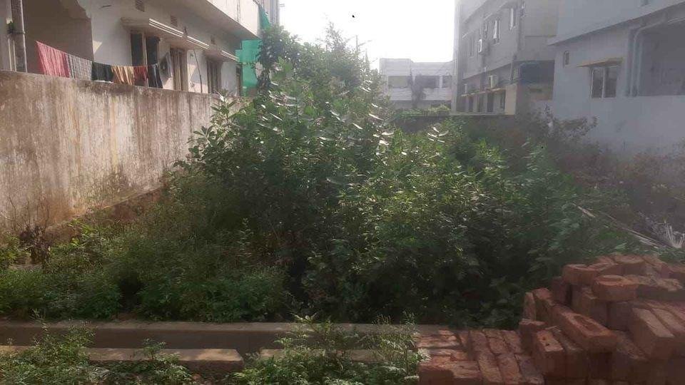 WhatsApp-Image-2023-06-15-at-10.46.01-AM