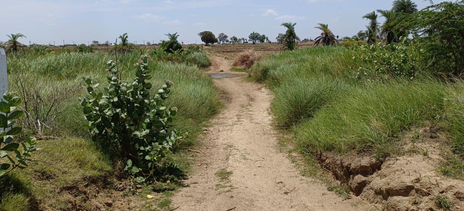 WhatsApp-Image-2023-06-15-at-12.02.34-PM