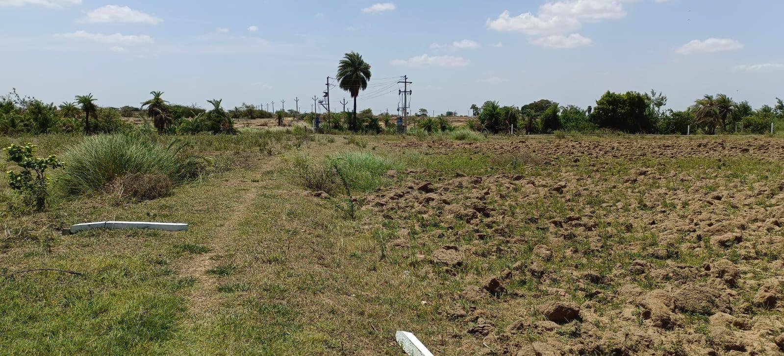 WhatsApp-Image-2023-06-15-at-12.02.35-PM-1