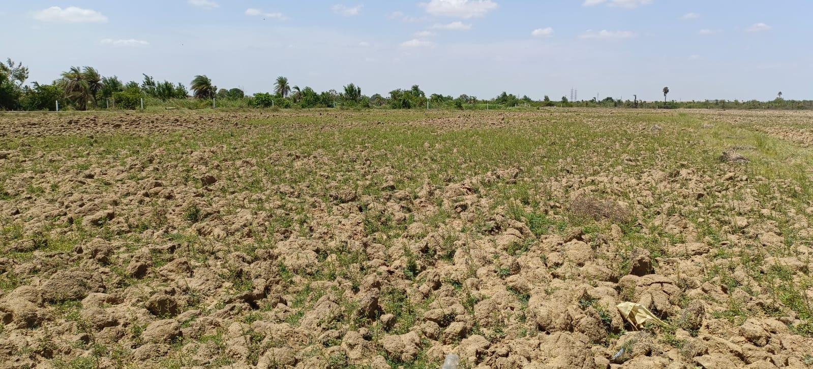 WhatsApp-Image-2023-06-15-at-12.02.35-PM-2