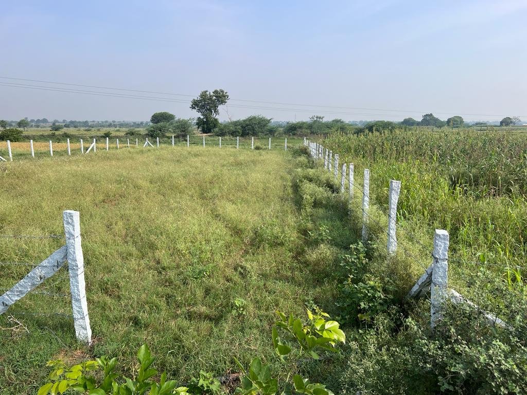 WhatsApp-Image-2023-06-16-at-10.46.01-PM