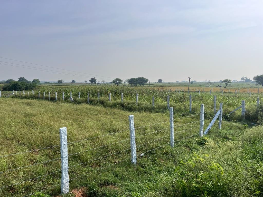 WhatsApp-Image-2023-06-16-at-10.46.50-PM