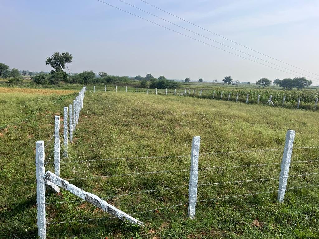 WhatsApp-Image-2023-06-16-at-10.46.54-PM