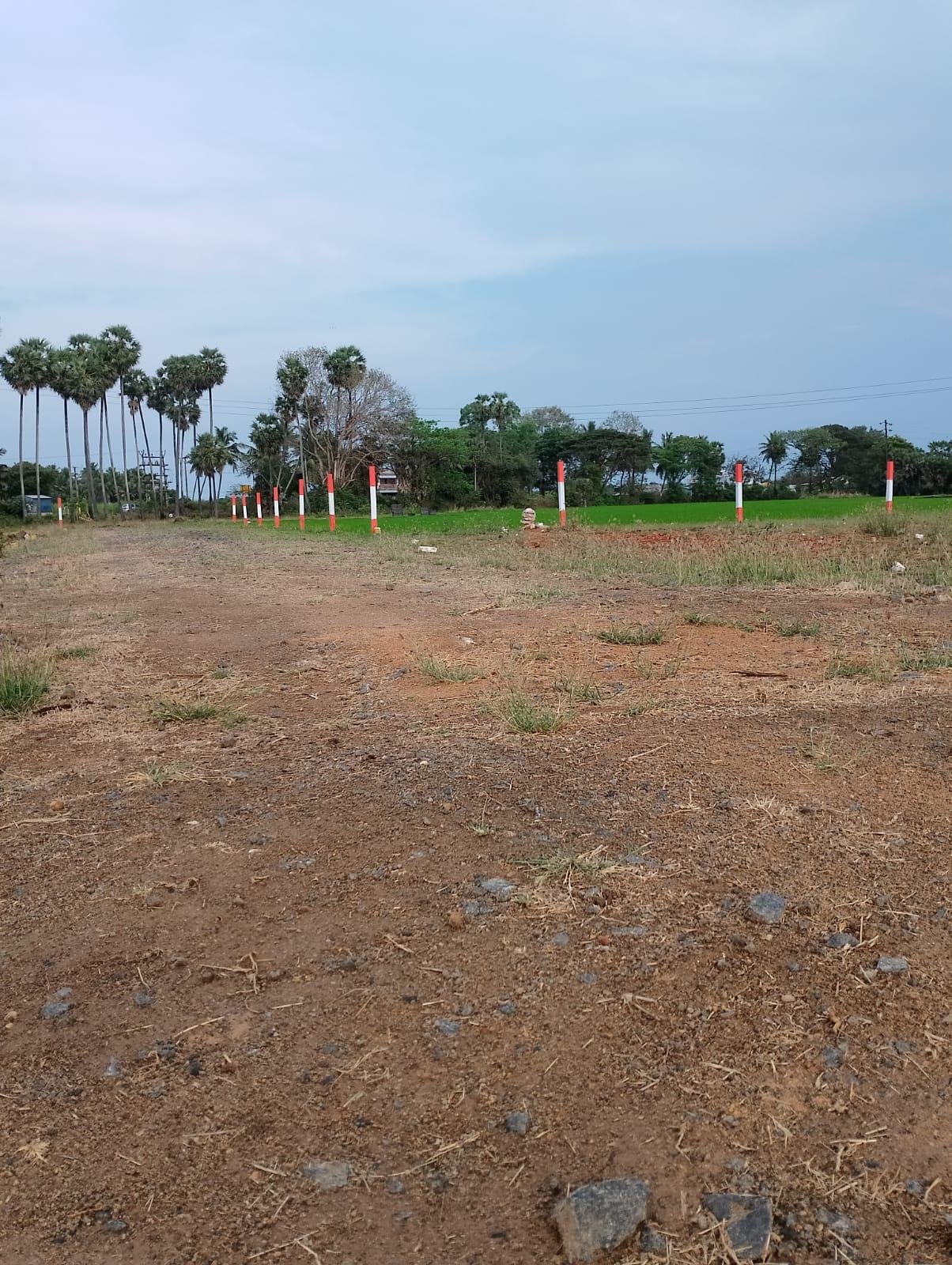 WhatsApp-Image-2023-06-16-at-11.48.24-AM