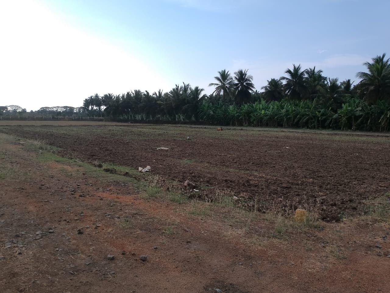 WhatsApp-Image-2023-06-16-at-11.48.26-AM