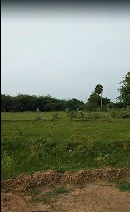 WhatsApp-Image-2023-06-16-at-5.41.13-PM