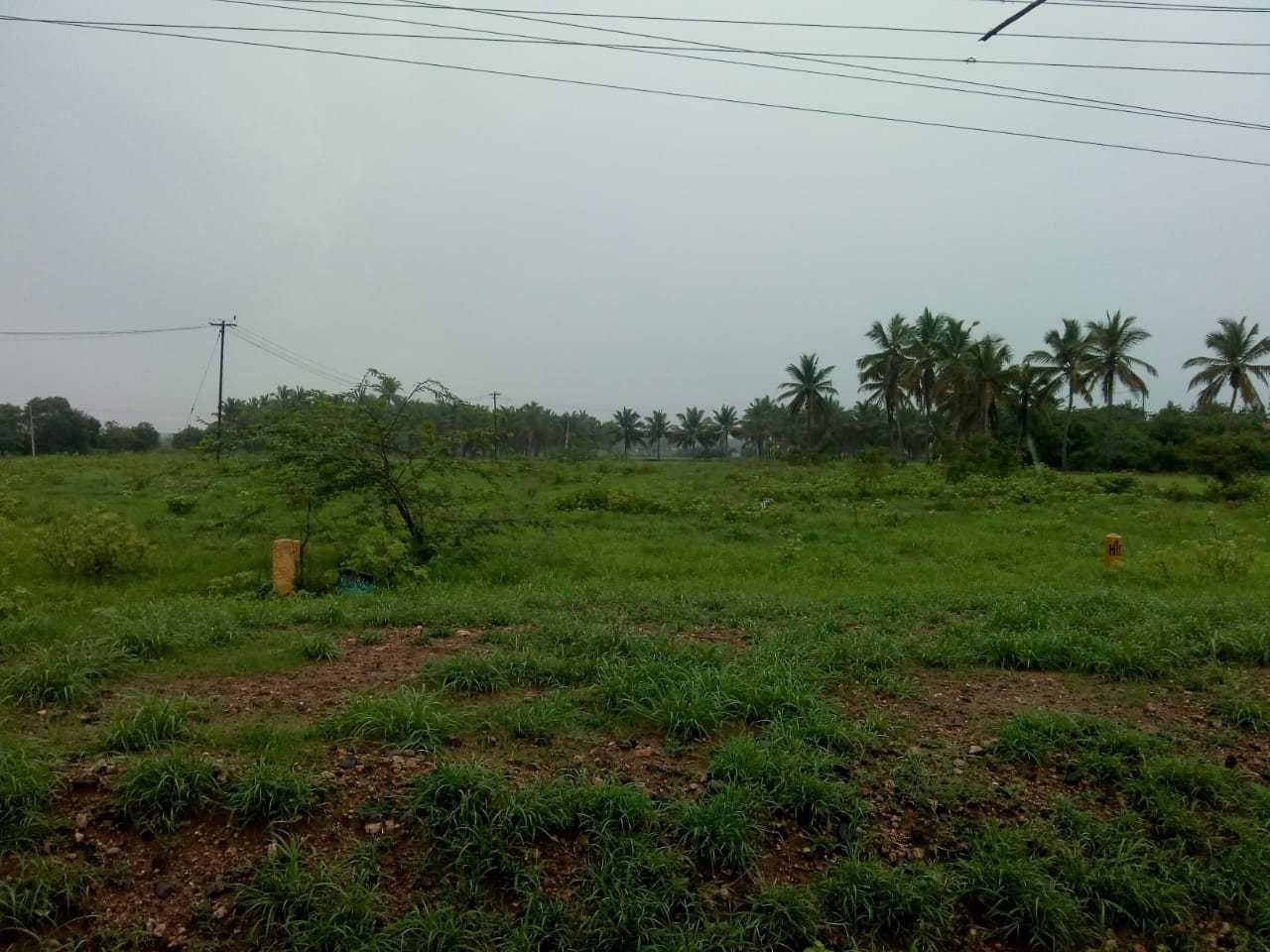 land-for-sale