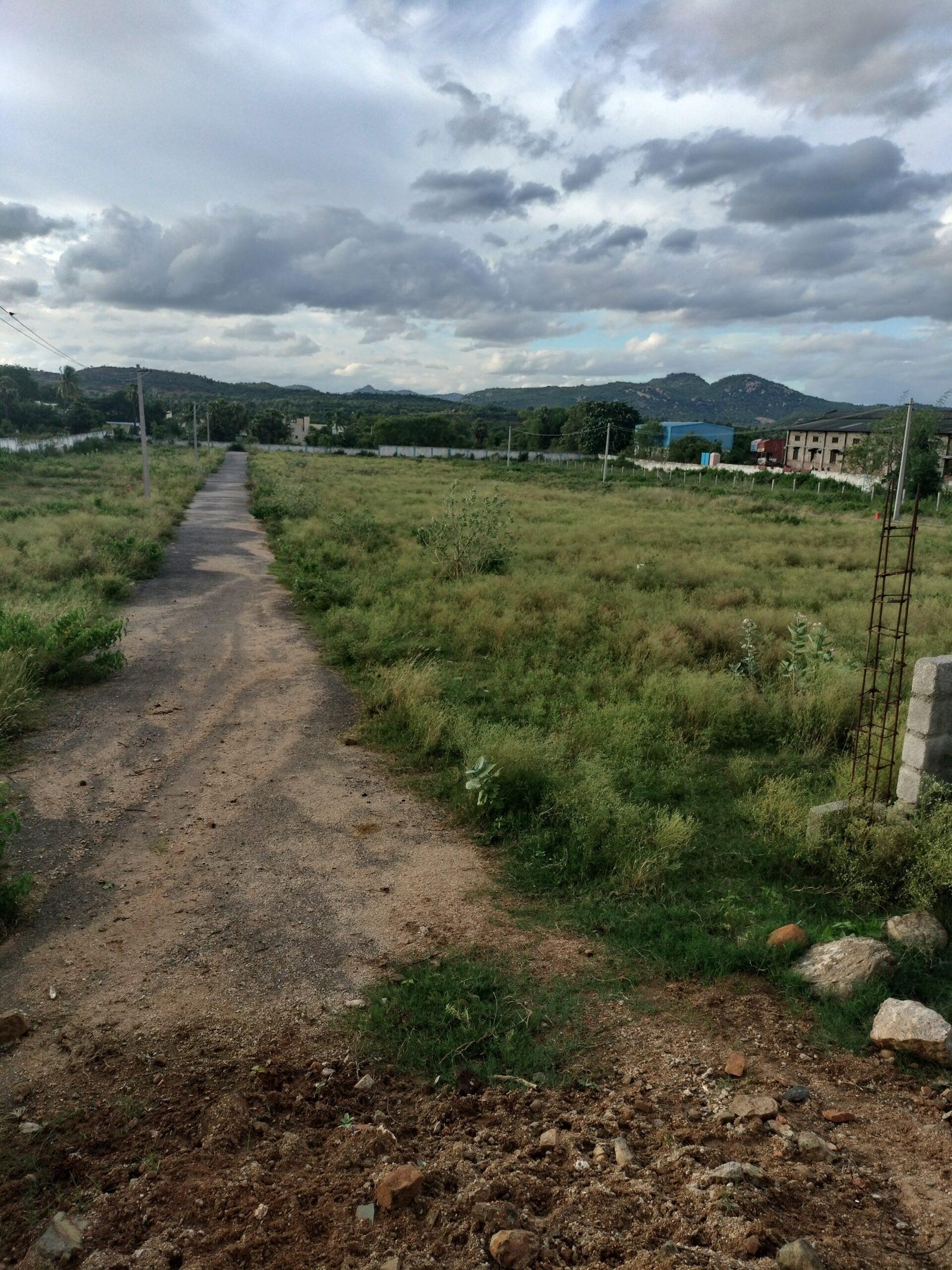 16904589551816657797455876522611