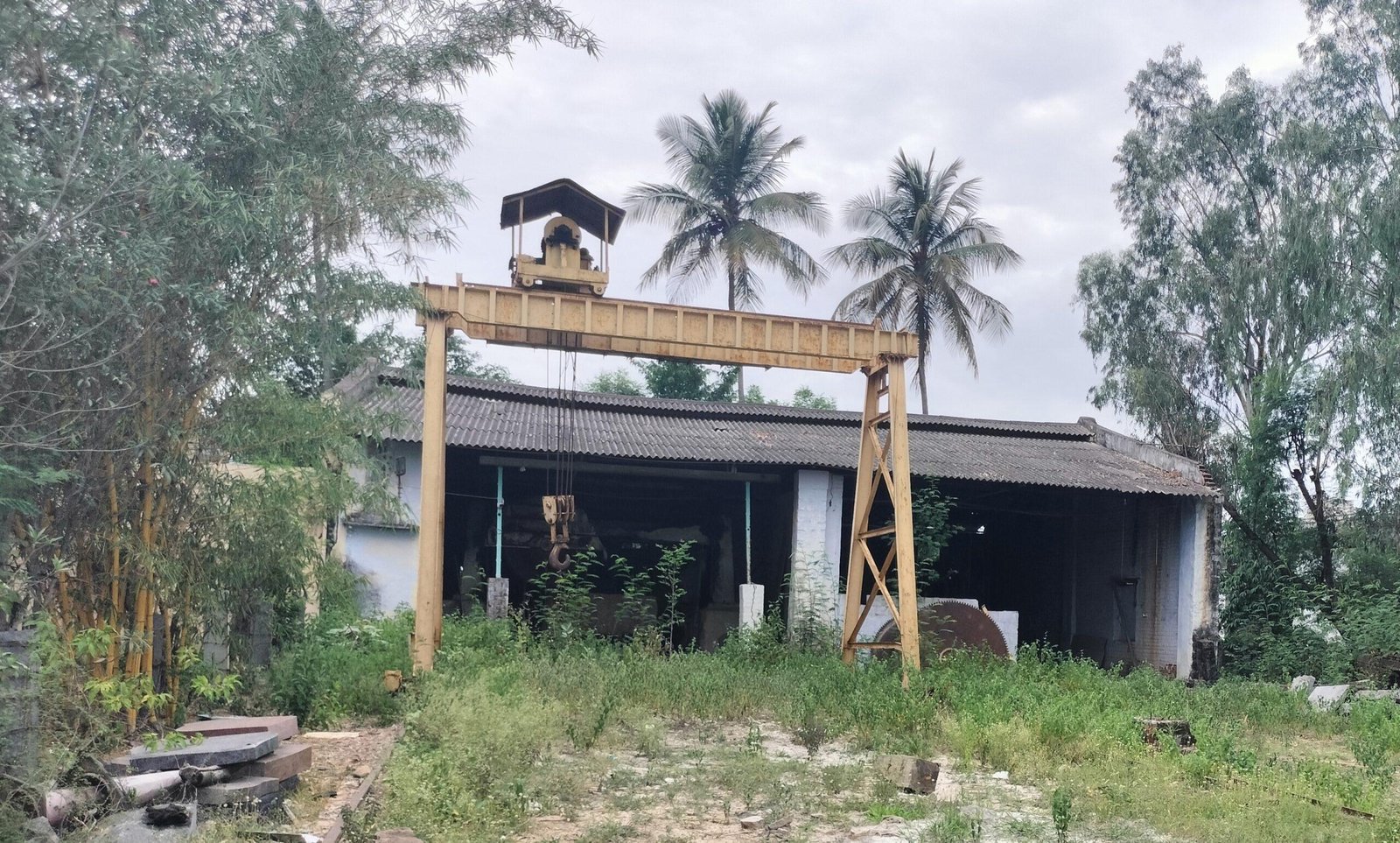 IMG_20230718_180646-1