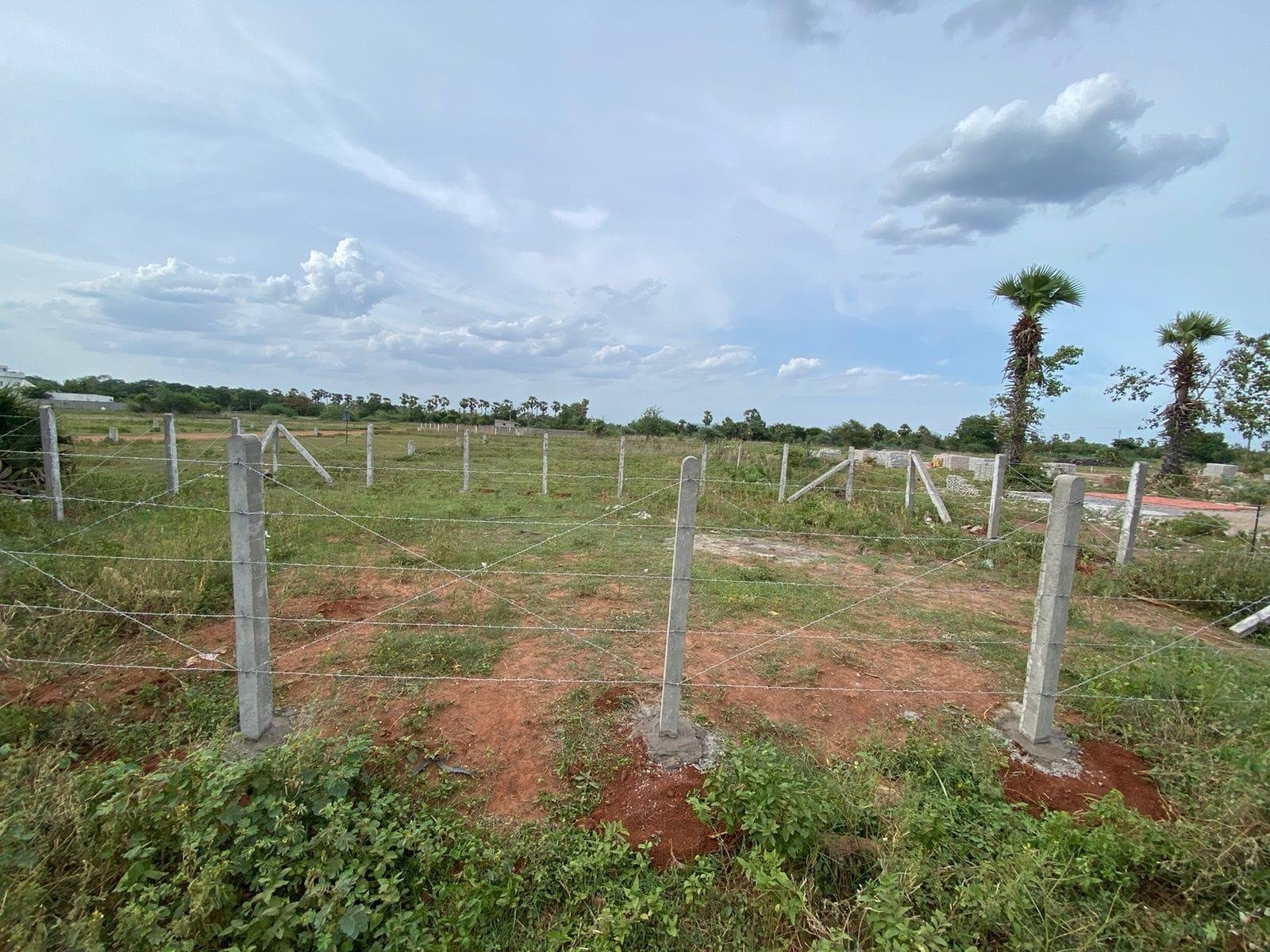 WhatsApp-Image-2023-07-05-at-11.34.15-AM