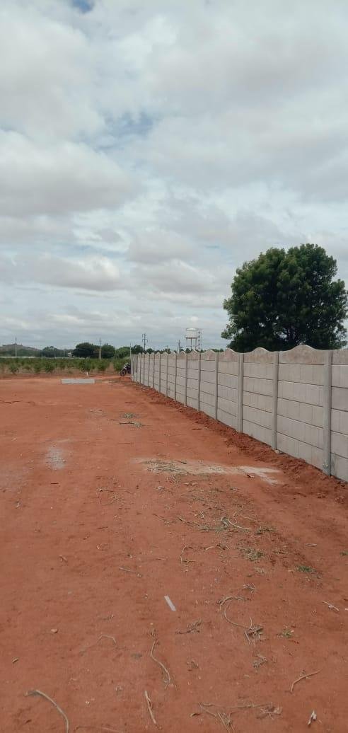 WhatsApp-Image-2023-07-05-at-9.41.36-PM