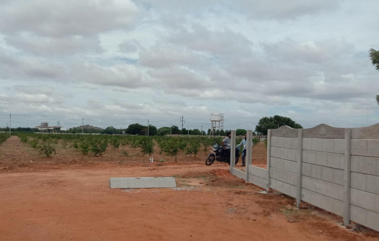 WhatsApp-Image-2023-07-05-at-9.41.37-PM