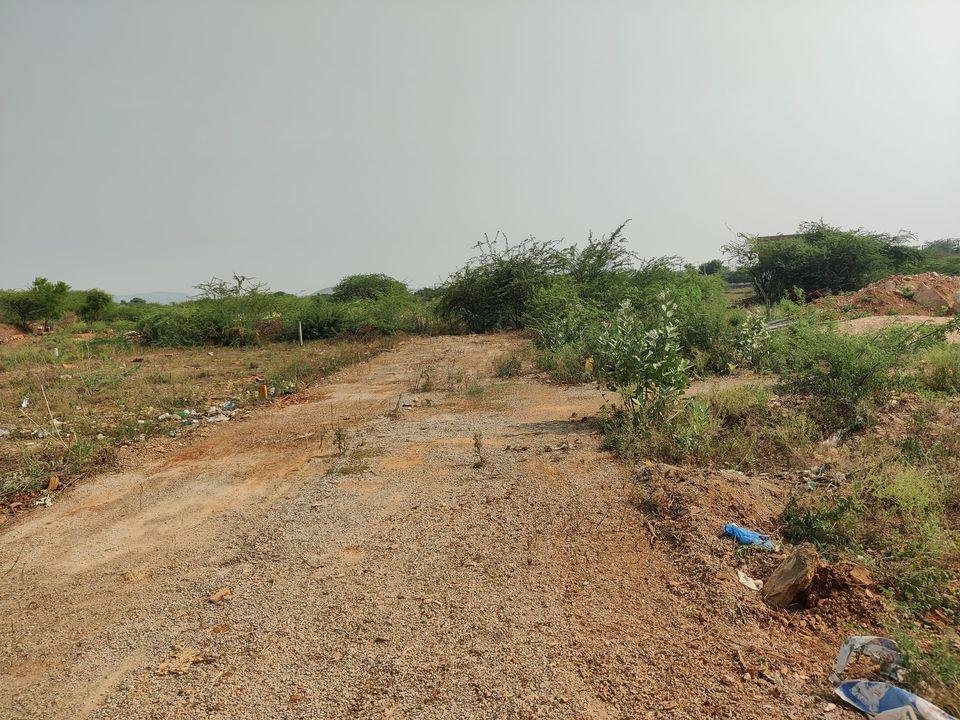 349105747_787530566331669_1599770034472555506_n