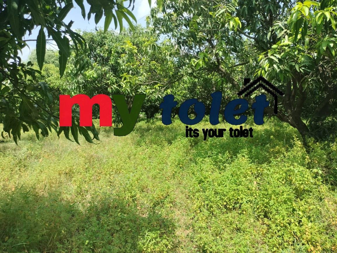 IMG-20231002-WA0028-1