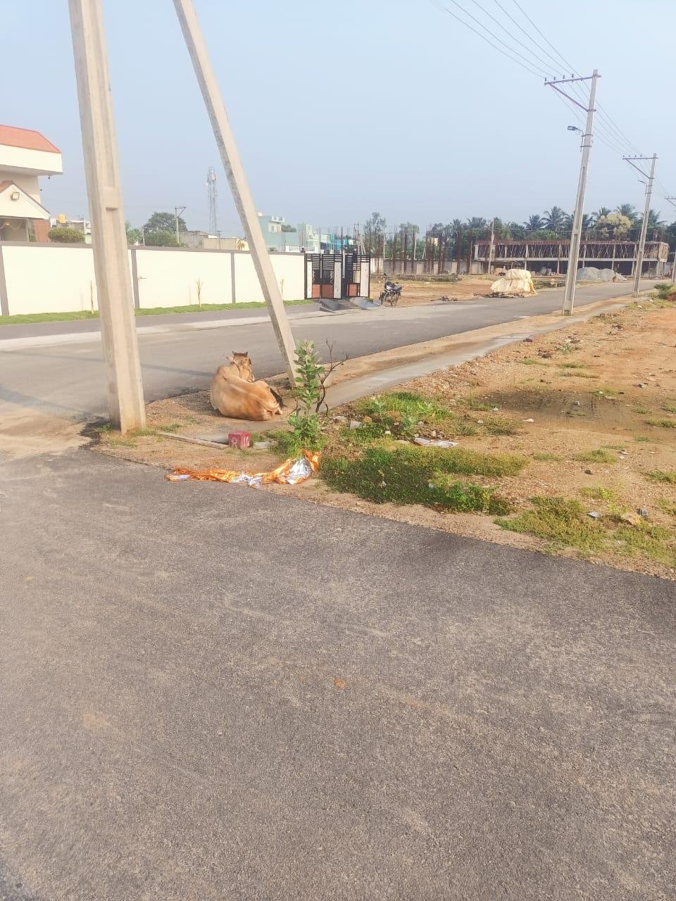 IMG-20231013-WA00201