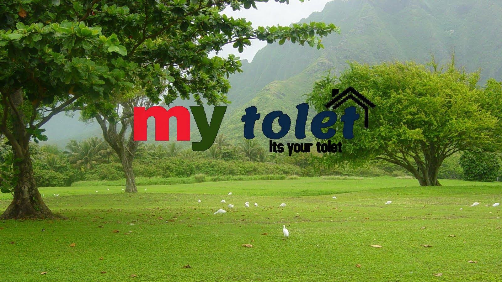 wp2620462-wallpaper-hd-1080p-nature-green