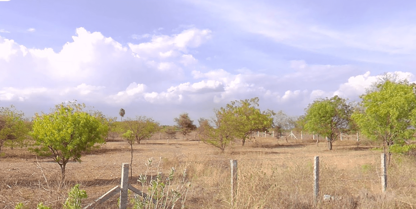 Screenshot-2023-11-13-14.00.35