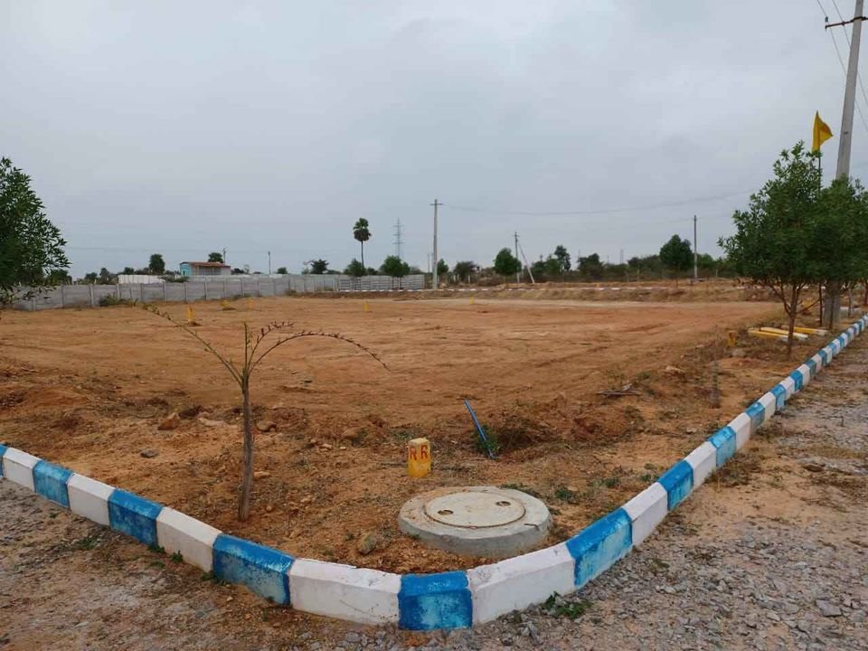 WhatsApp-Image-2023-01-24-at-1.00.03-PM