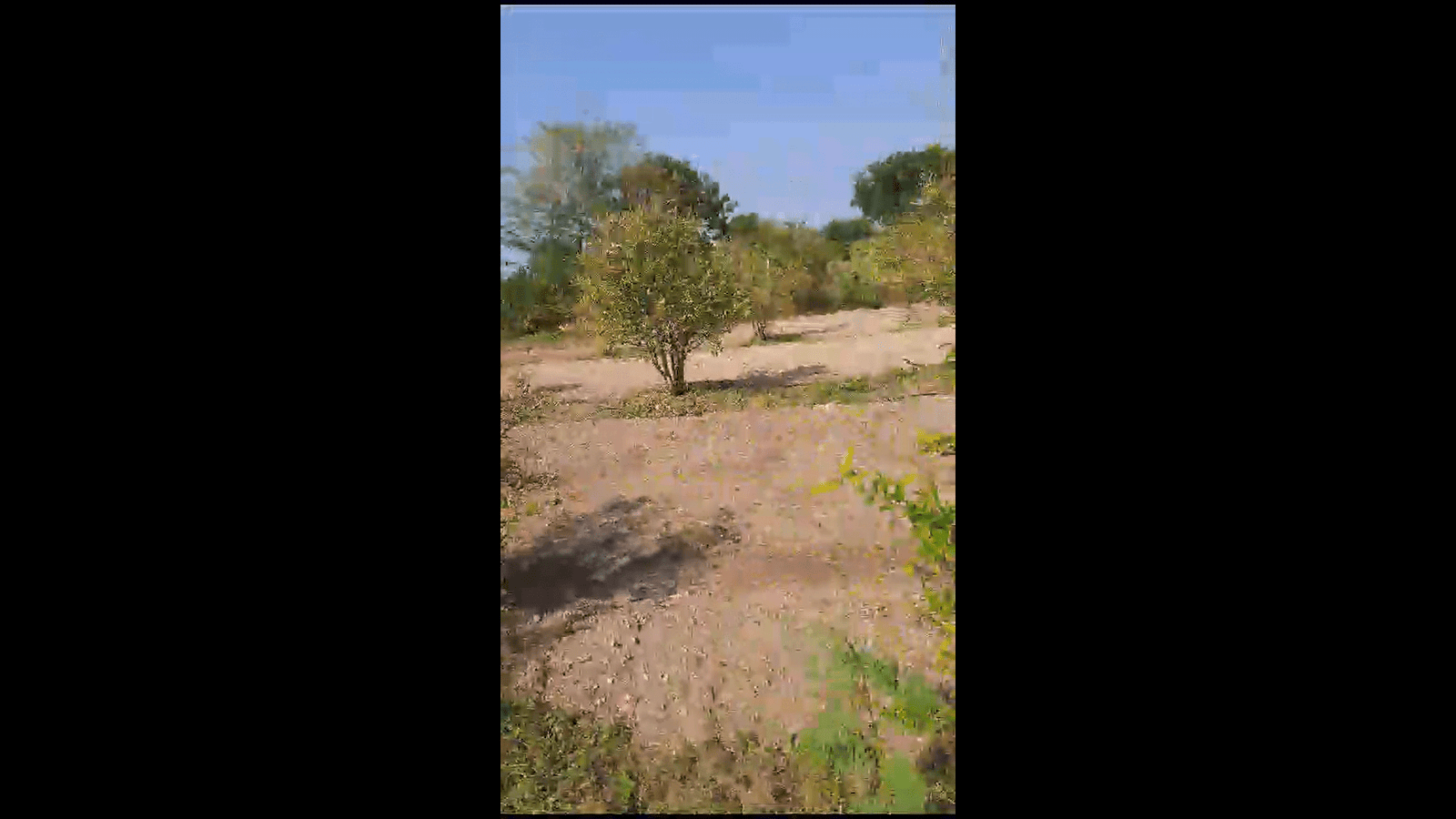 Screenshot-2023-12-30-12.52.59