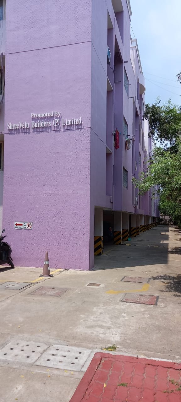 WhatsApp-Image-2024-01-12-at-16.17.44_dd384474