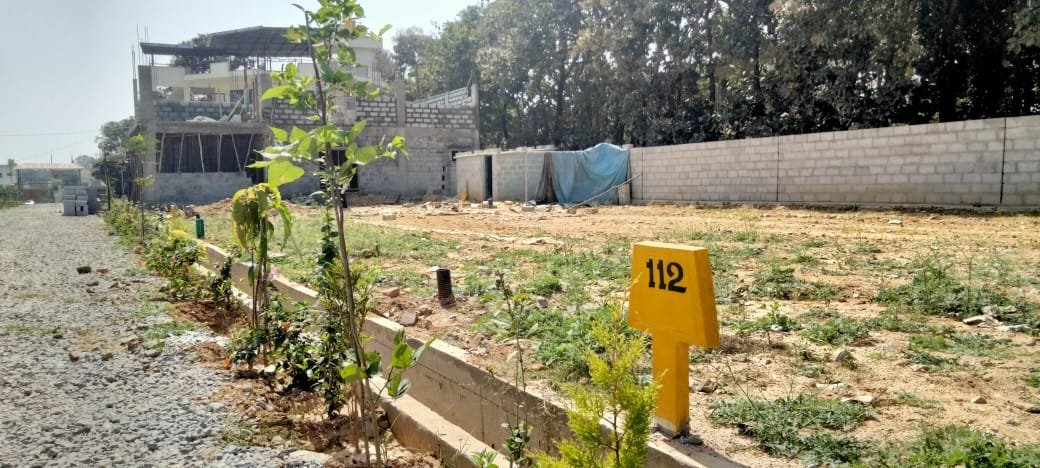 4682d0d6-1018-4a31-ac7f-1c2da8dc0def