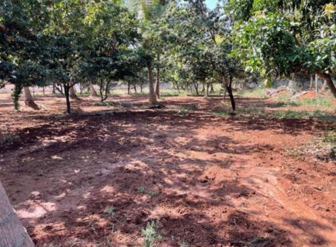 4da4cb8d-5f06-4d40-a785-c11e046f120e