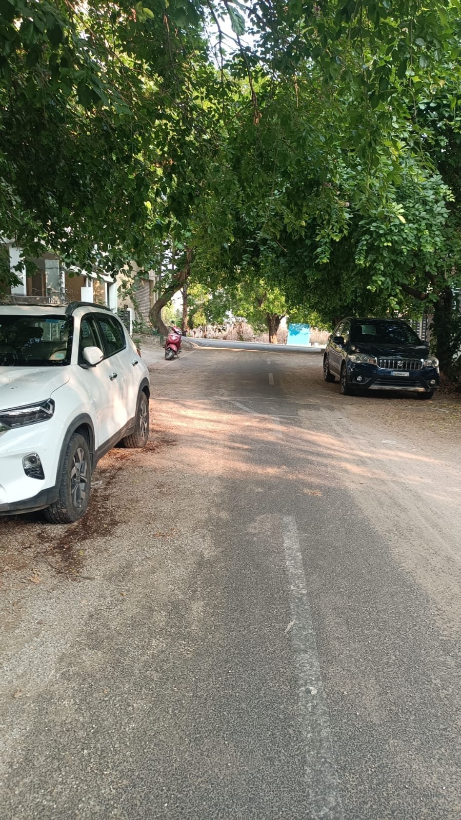 8210da0b-b797-4a33-89d5-03f5e3f2736f