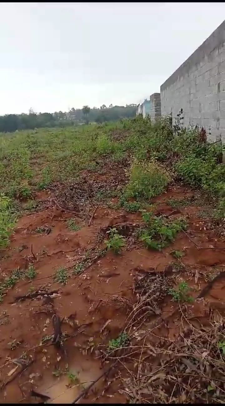 ccab9679-326a-471f-a3fb-af9d2234eb35