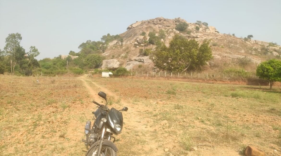 d01347a8-05bb-4560-869f-441e1ebaf503-1