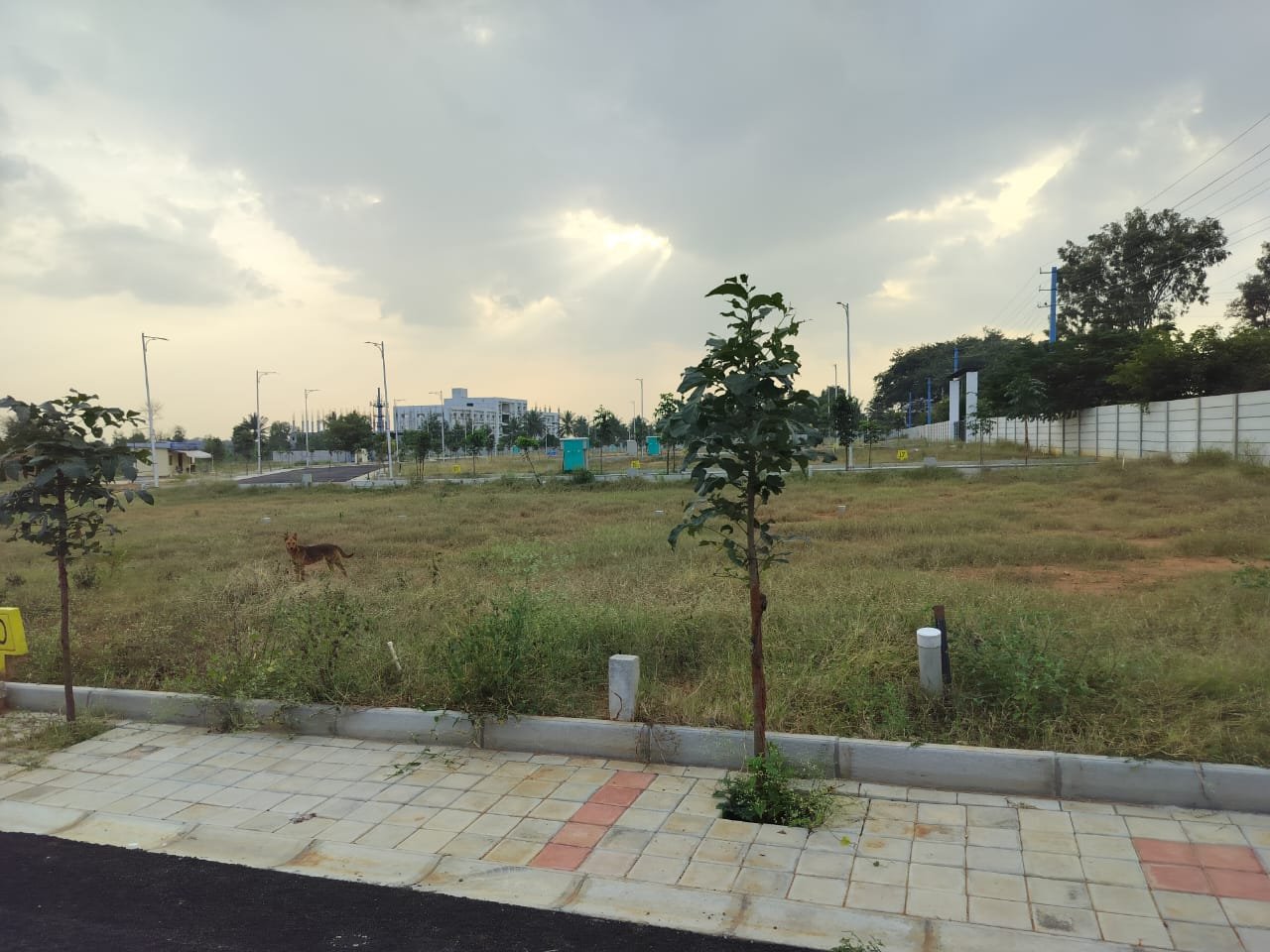 d34306d9-096b-42f3-9a26-9e94ff0ce5c6