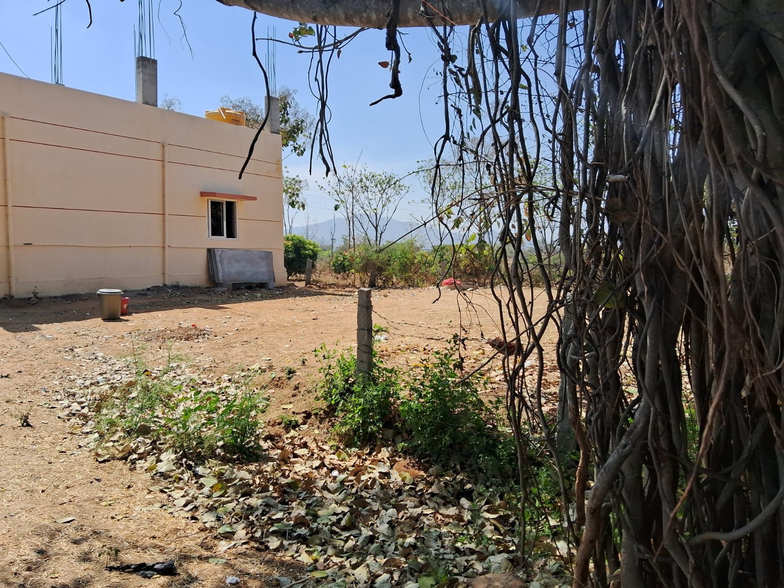 dca75836-eb6a-4e05-a9f3-0b93b53e2e88