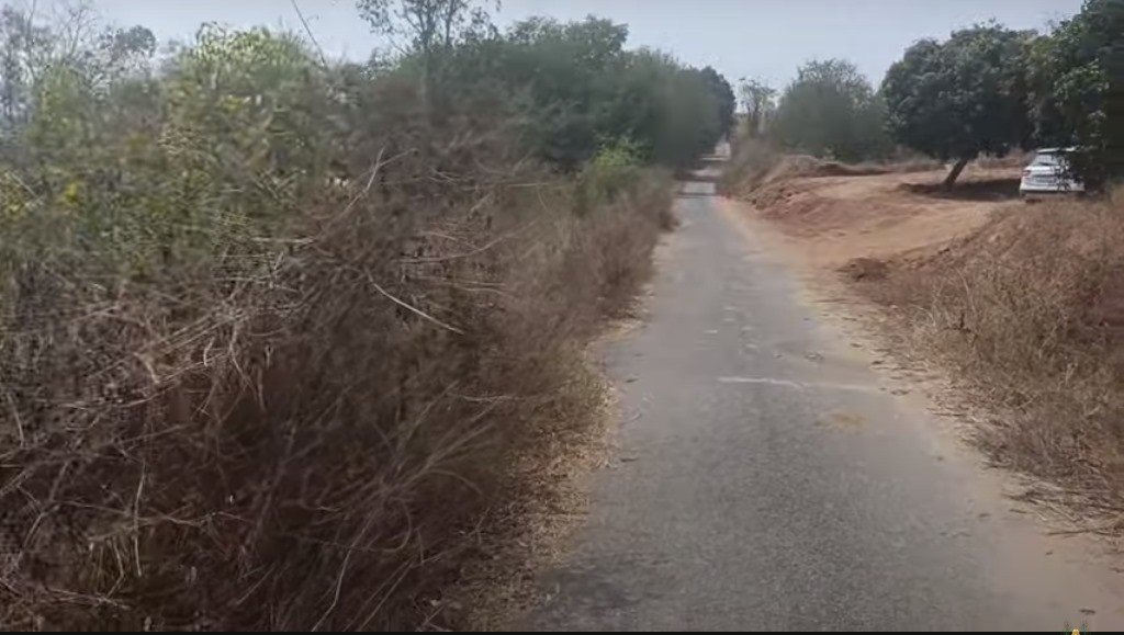 0069009d-afd4-444c-b4be-a86778d0a334