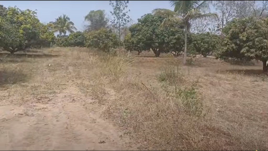 0303d776-32bc-4c43-bdbc-452054b7b31c