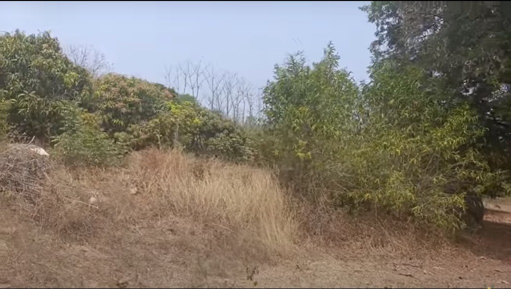 15b71455-3319-40cc-b752-375e9b93c949