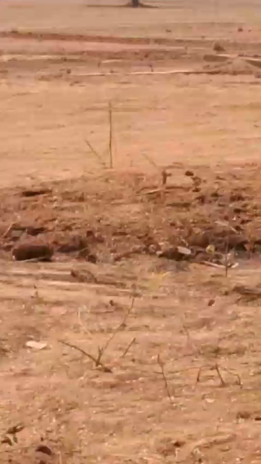 2f77e146-298b-40e5-989a-6e230b636539