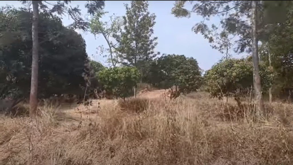 5b70a668-ff24-415a-a936-f35d4955d0de