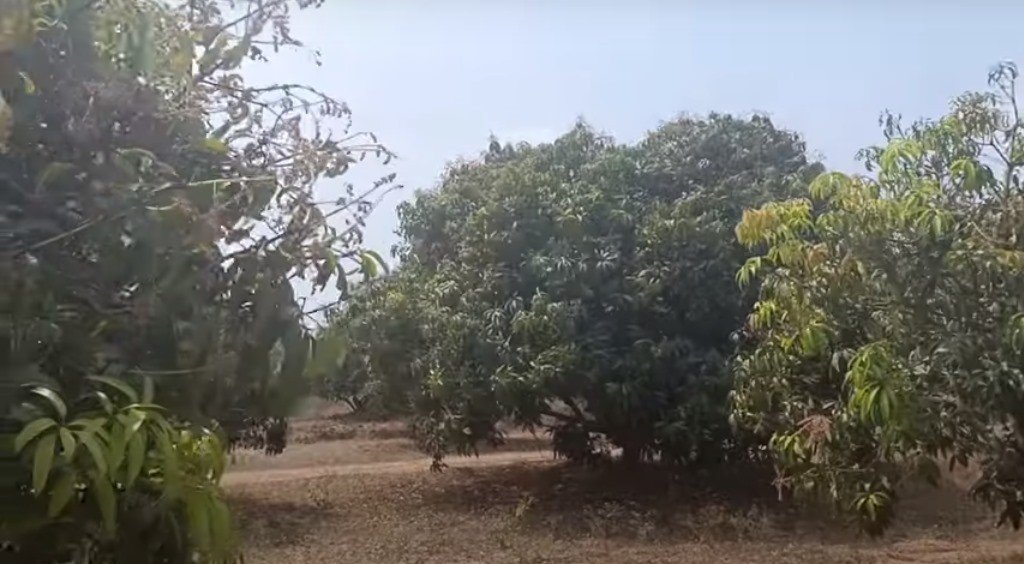 682d04ee-8719-426d-adfd-ed3be380ade8