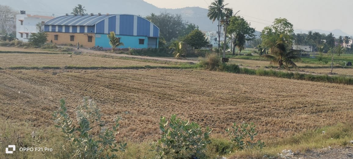 WhatsApp-Image-2024-04-01-at-10.25.24-PM