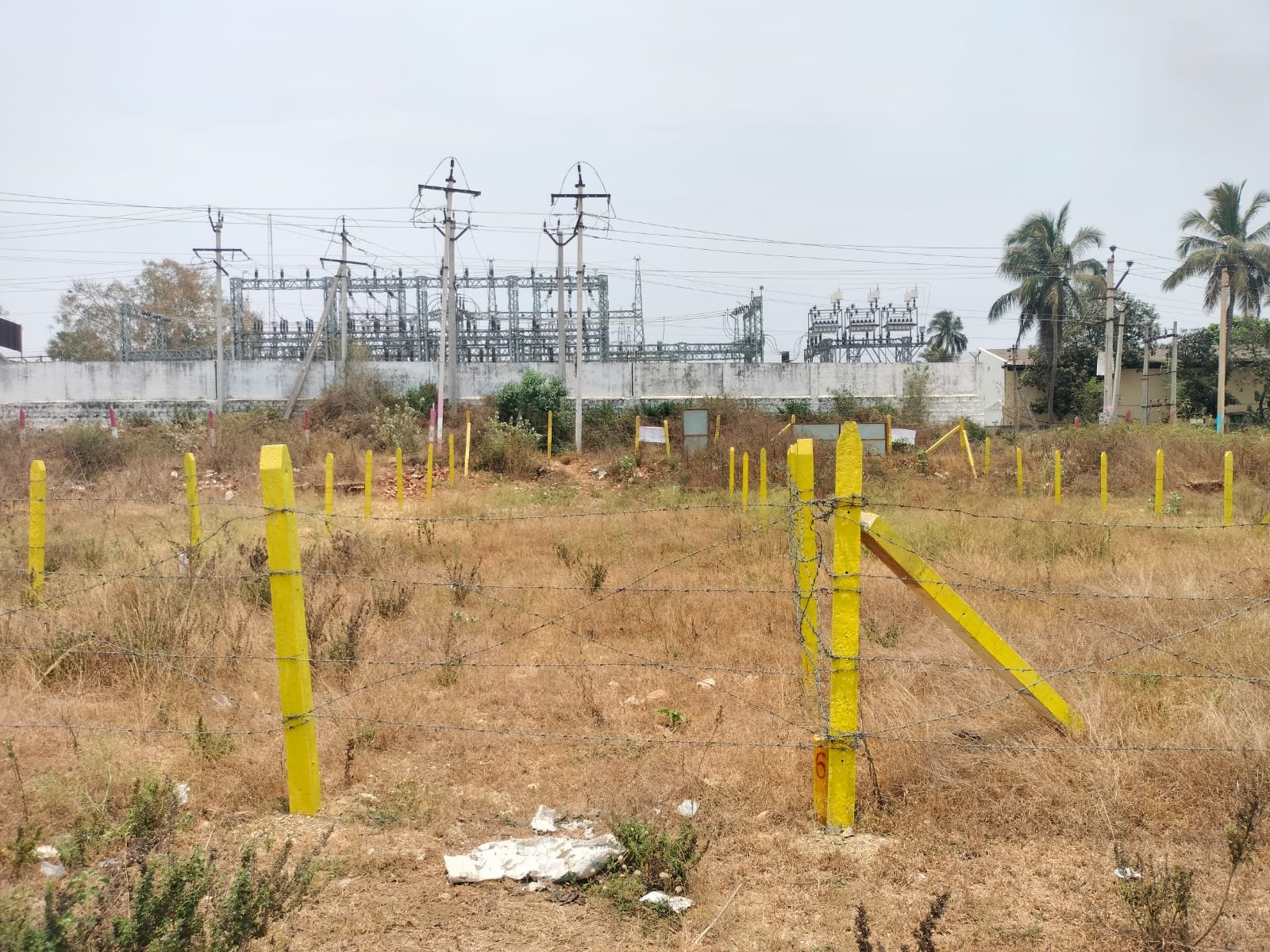 WhatsApp-Image-2024-04-18-at-15.20.05